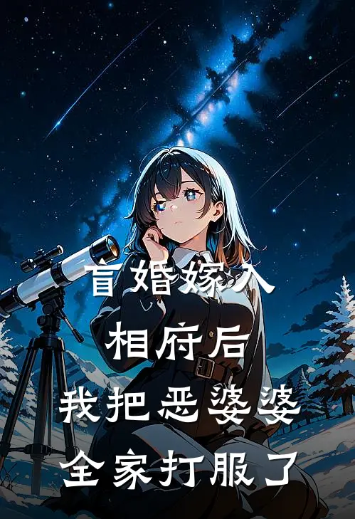 盲婚嫁入相府后，我把恶婆婆全家打服了(林婉林红)免费小说在线阅读_在线阅读免费小说盲婚嫁入相府后，我把恶婆婆全家打服了(林婉林红)