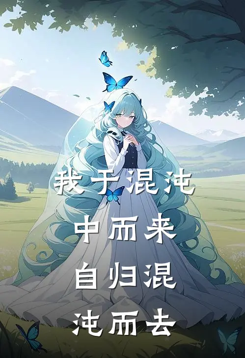 我于混沌中而来，自归混沌而去