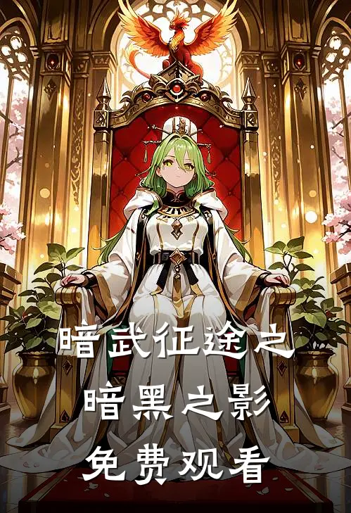 暗武征途之暗黑之影免费观看