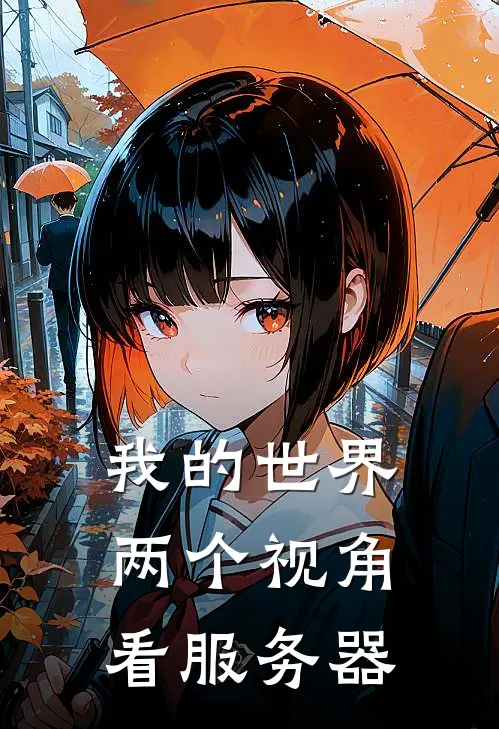 我的世界：两个视角看服务器