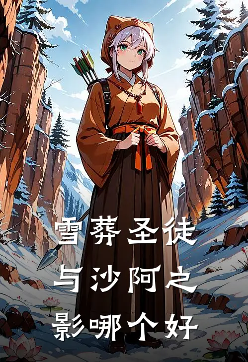 雪葬圣徒与沙阿之影哪个好