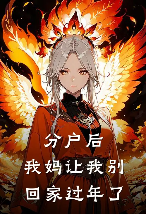 分户后，我妈让我别回家过年了林昭林辉完整免费小说_热门小说阅读分户后，我妈让我别回家过年了林昭林辉