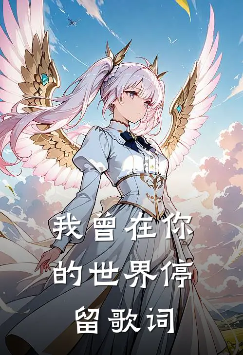 我曾在你的世界停留歌词