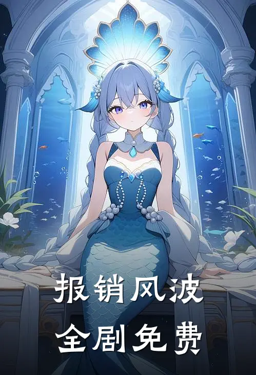 报销风波全剧免费