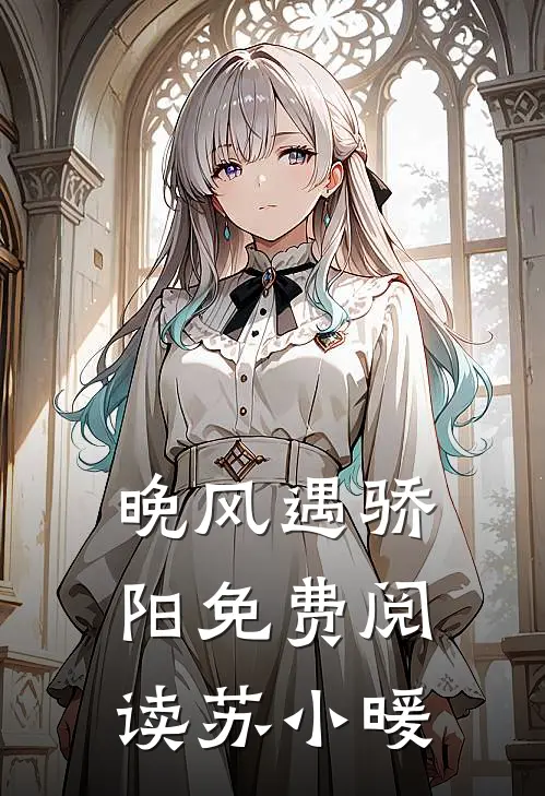 晚风遇骄阳免费阅读苏小暖